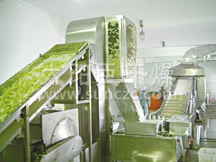 DWC系列脫水蔬菜帶式干燥機